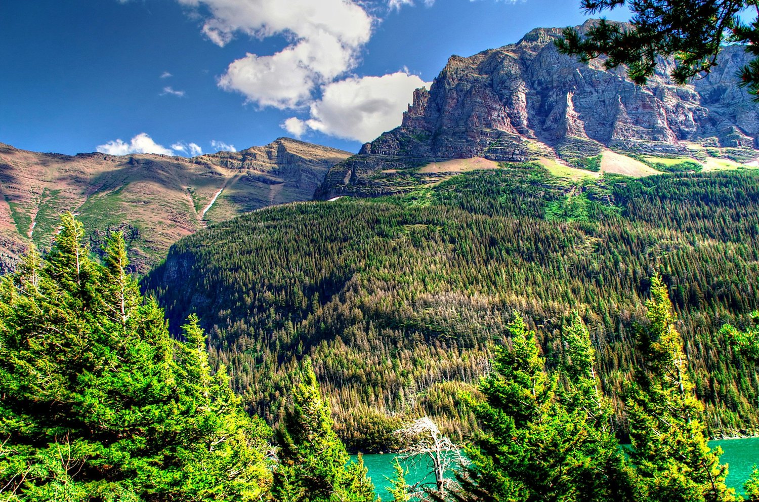Glacier 2026 Update: No Vehicle Reservations, New Fees, and What You Need to Know Before You Go
