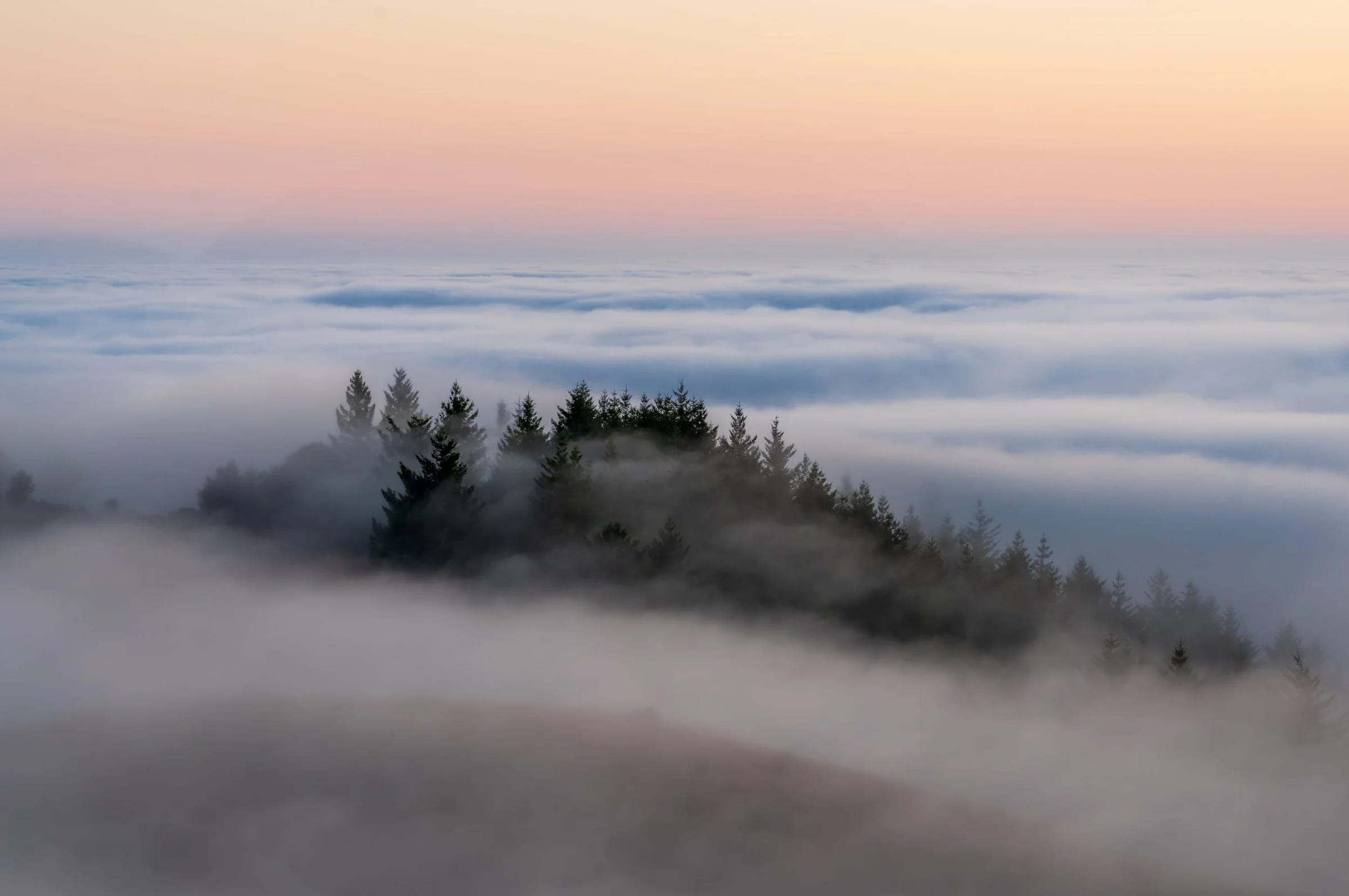 Fog drifting over the forested mountains