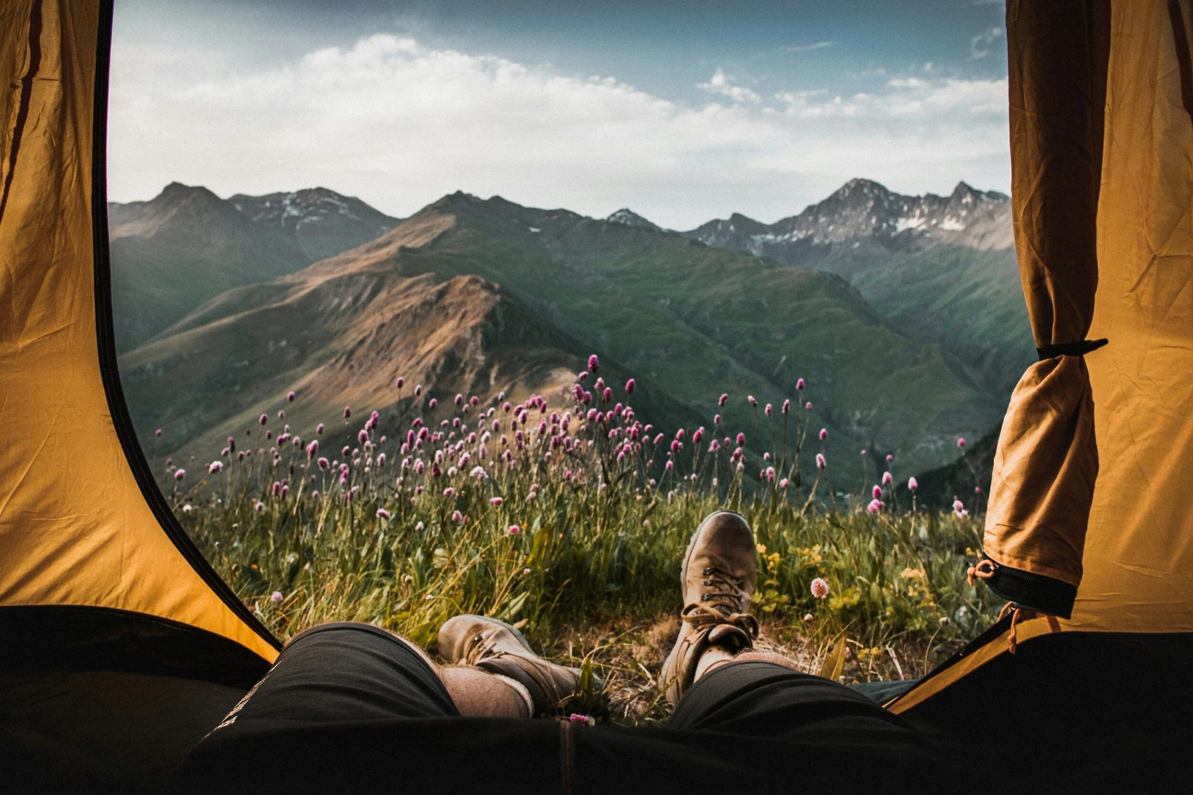 The view from inside a tent across a mountain meadow
