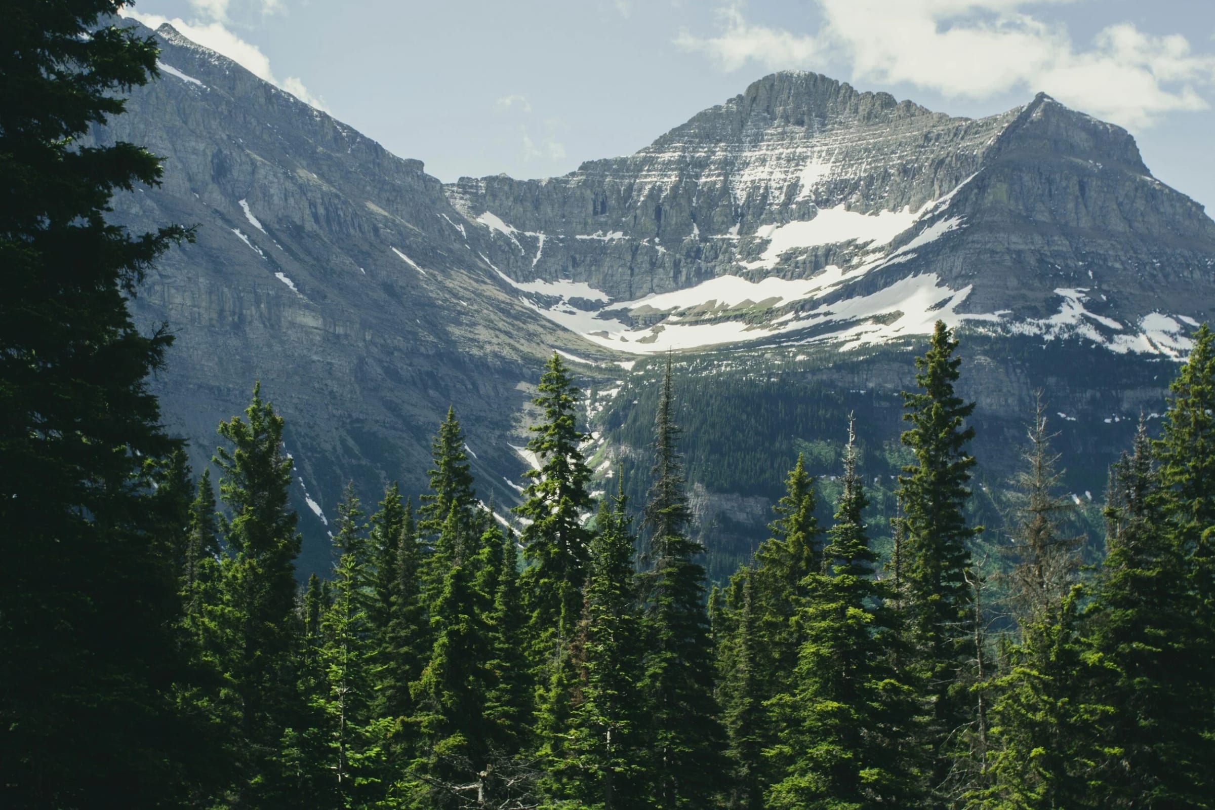 Peaks and forest in Glacier National Park
