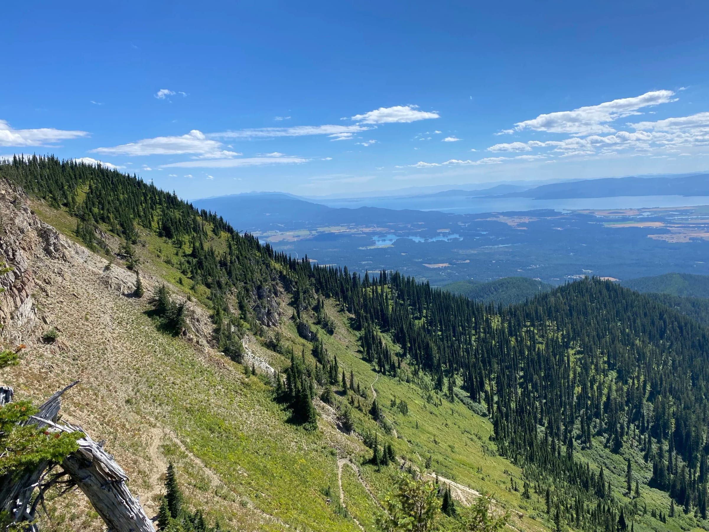 Forested ridges from Peters Ridge